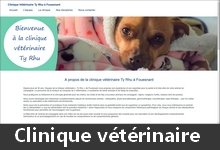  Site d'une clinique v�t�rinaire 